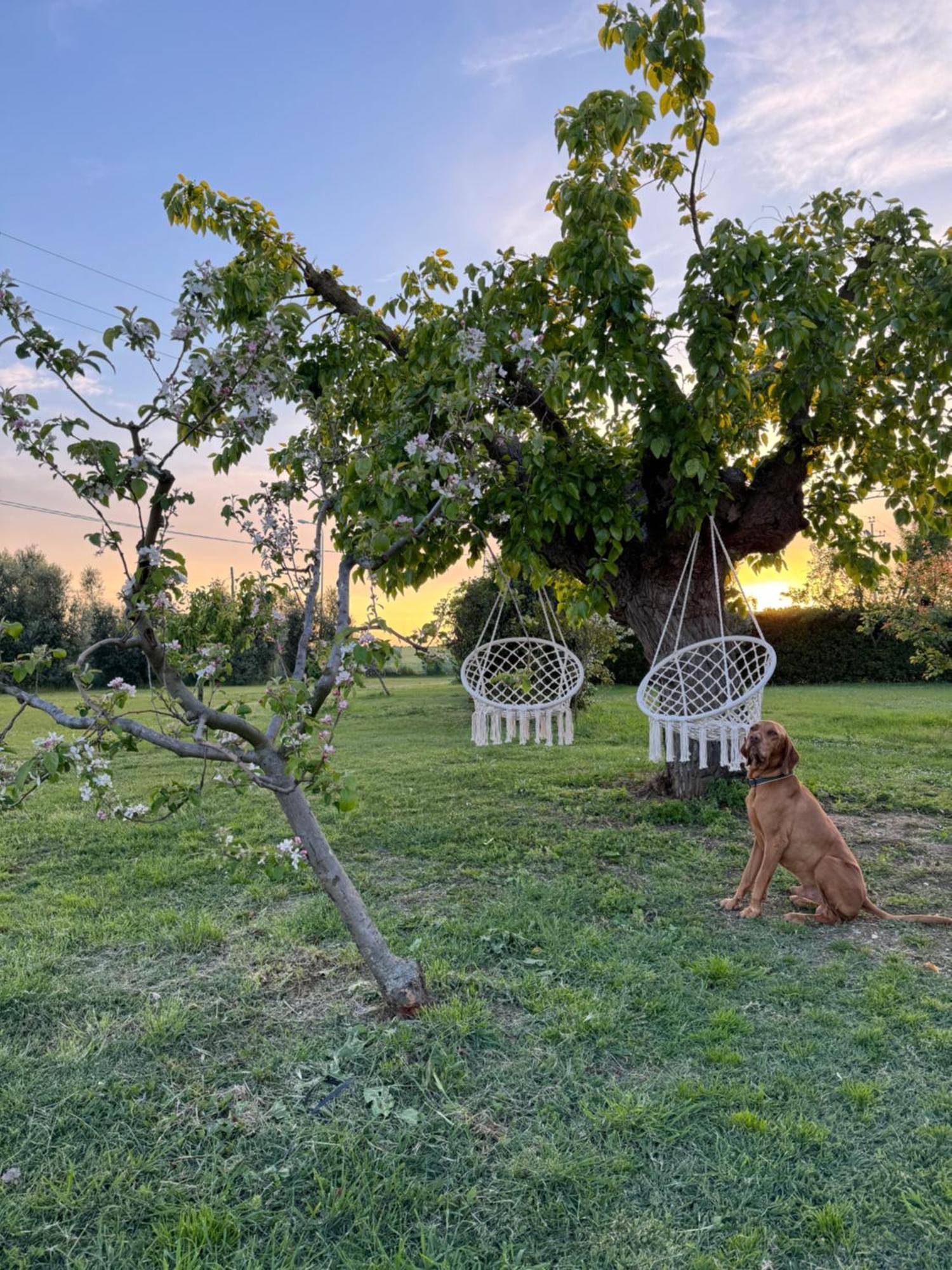 Agriturismo Le Grange Нумана Экстерьер фото